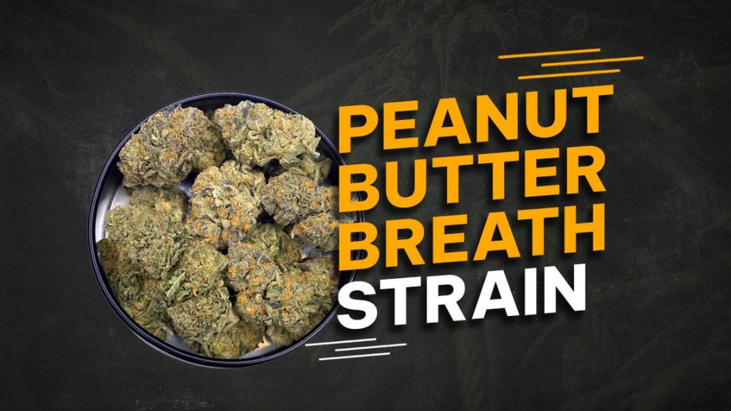 peanut butter breath strain